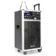 SkyTec	ST-140 Système amplifié portable DVD/CD/UHF/MP3/SD/USB Record/Play